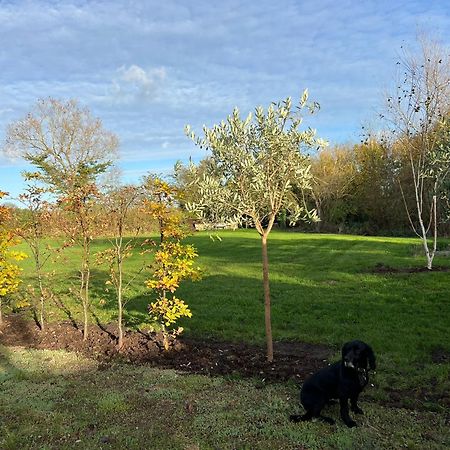 Idyllic Secluded Hideaway With Countryside Views On The Edge Of The Cotswolds Villa Hailey ภายนอก รูปภาพ