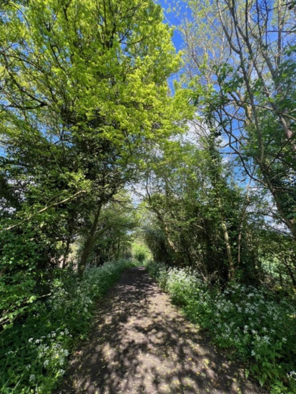 Idyllic Secluded Hideaway With Countryside Views On The Edge Of The Cotswolds Villa Hailey ภายนอก รูปภาพ